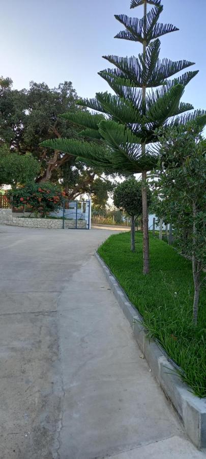 Monte Da Vinha Nova Villa Santiago do Cacem Exterior photo